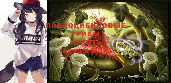 спайс Алексин