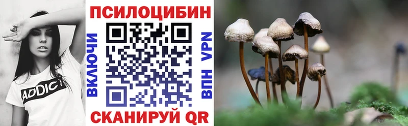 Псилоцибиновые грибы мухоморы  omg ТОР  Дмитров 
