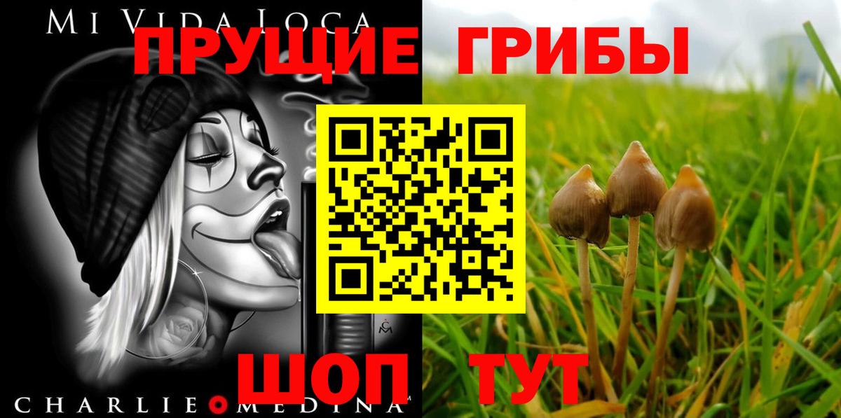 цены   Галлюциногенные грибы Psilocybe  Вход с VPN  Дмитров 
